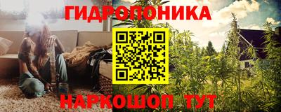 сатива Краснознаменск