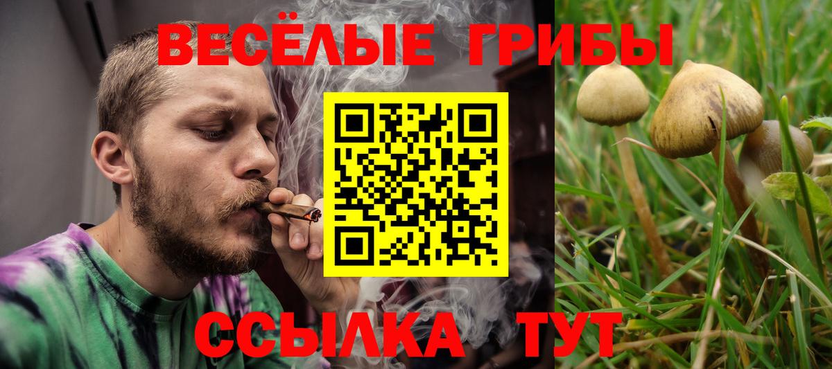 Псилоцибиновые грибы мухоморы  Вход с VPN  Псилоцибиновые грибы мухоморы  Калининград 